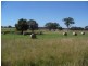 Lot 5 ‘MURRUMBONG’, Purlewaugh NSW 2357