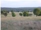 Lot 5 ‘MURRUMBONG’, Purlewaugh NSW 2357