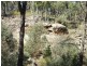 Coonabarabran NSW 2357