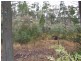 Coonabarabran NSW 2357