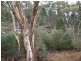 Coonabarabran NSW 2357