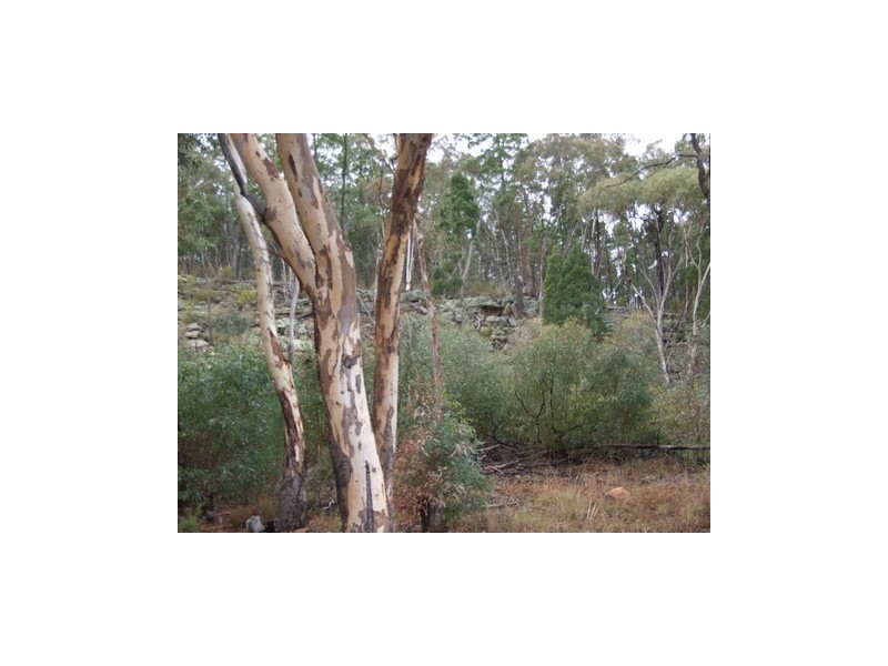 Coonabarabran NSW 2357