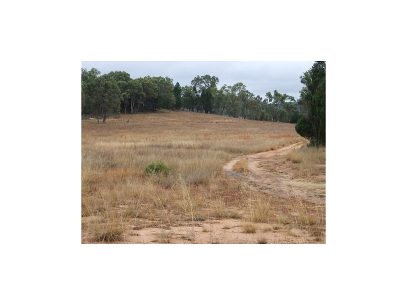 Coonabarabran NSW 2357