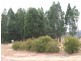 Coonabarabran NSW 2357