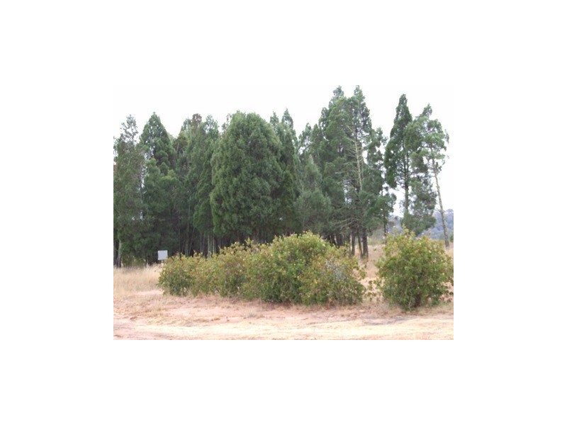 Coonabarabran NSW 2357