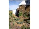 230 ‘BANGALAY COTTAGE’  Tothills Road, Coonabarabran NSW 2357