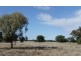 1 ‘Glenelg’, Carinda NSW 2831