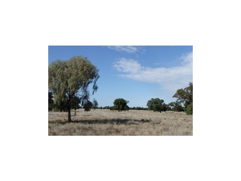 1 ‘Glenelg’, Carinda NSW 2831