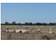 1 ‘Glenelg’, Carinda NSW 2831
