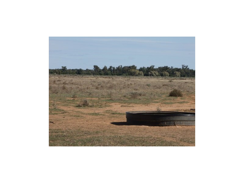 1 ‘Glenelg’, Carinda NSW 2831