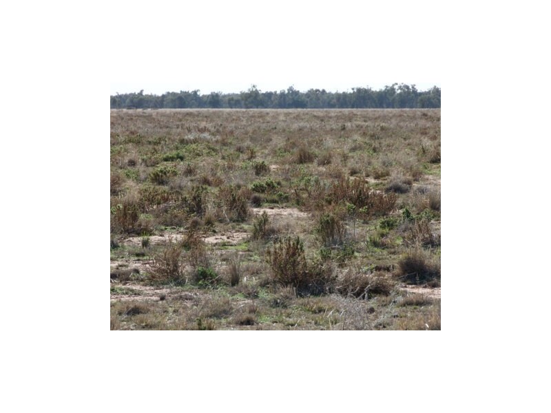 1 ‘Glenelg’, Carinda NSW 2831