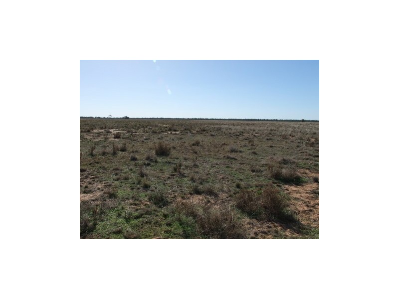 1 ‘Glenelg’, Carinda NSW 2831