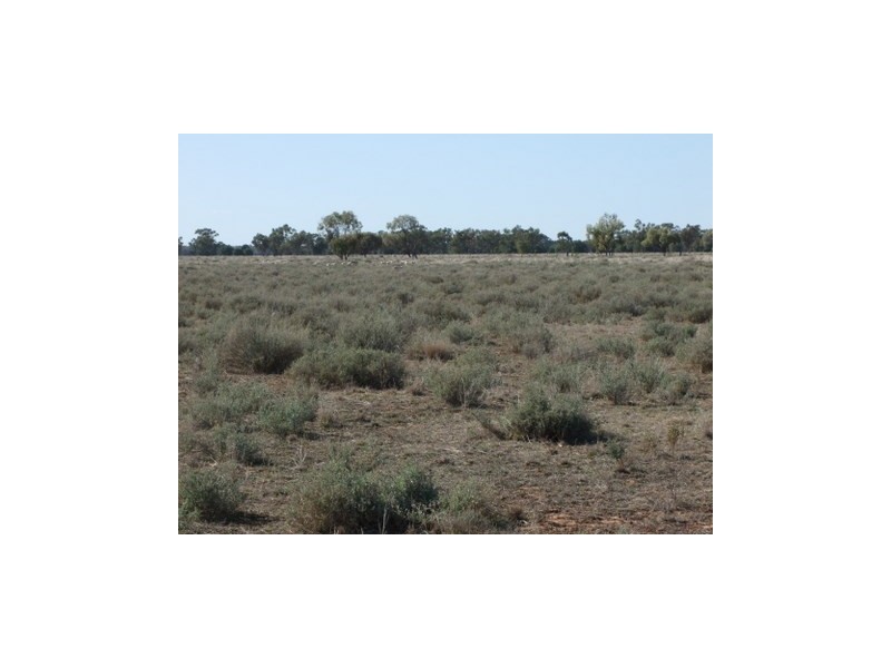 1 ‘Glenelg’, Carinda NSW 2831