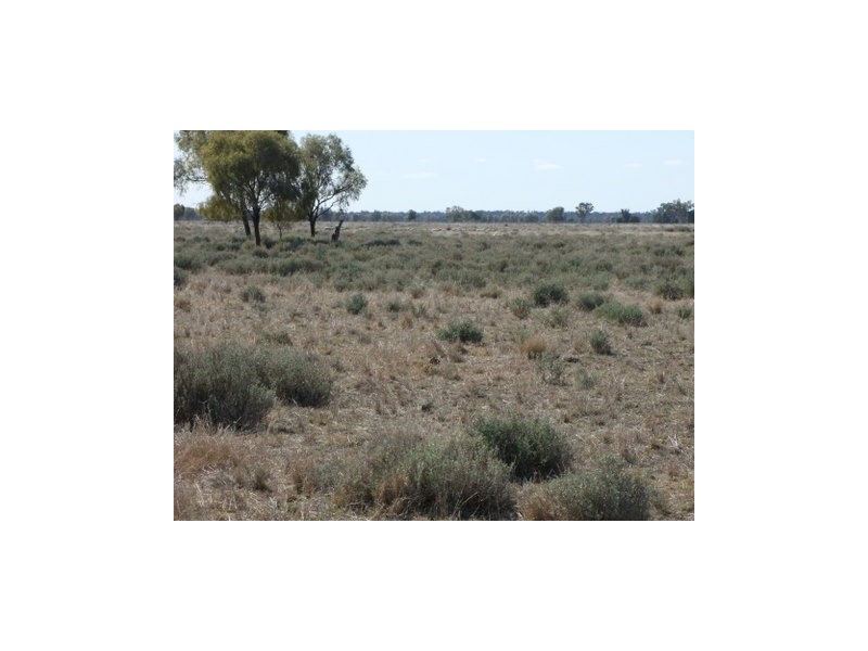 1 ‘Glenelg’, Carinda NSW 2831