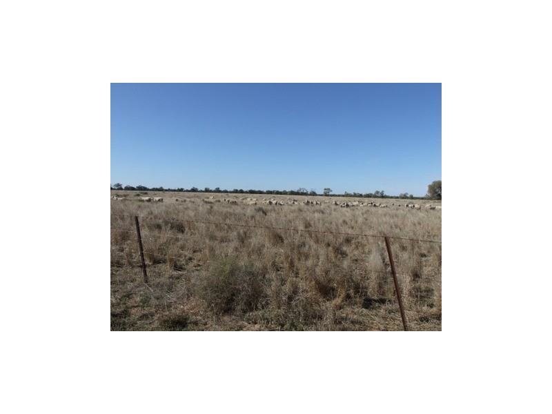1 ‘Glenelg’, Carinda NSW 2831