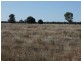 1 ‘Glenelg’, Carinda NSW 2831