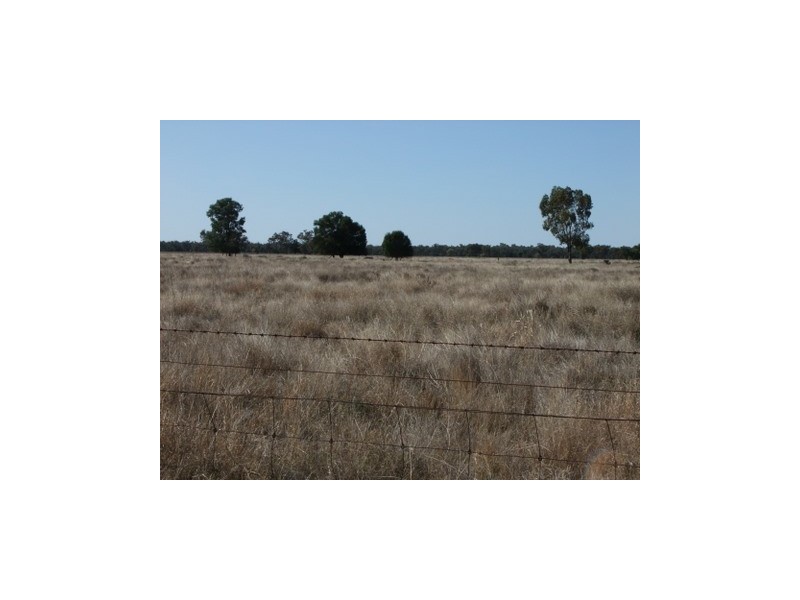 1 ‘Glenelg’, Carinda NSW 2831
