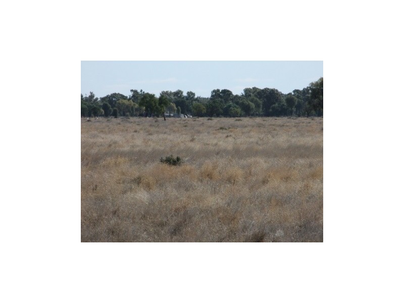 1 ‘Glenelg’, Carinda NSW 2831