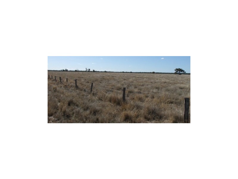1 ‘Glenelg’, Carinda NSW 2831