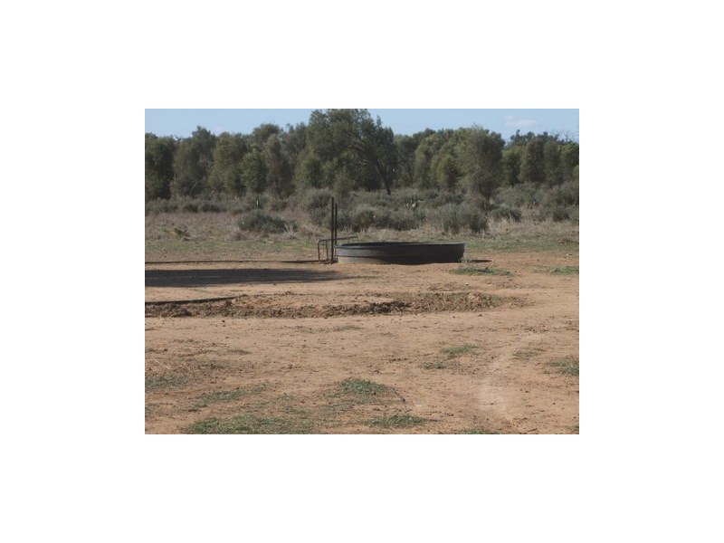 1 ‘Glenelg’, Carinda NSW 2831