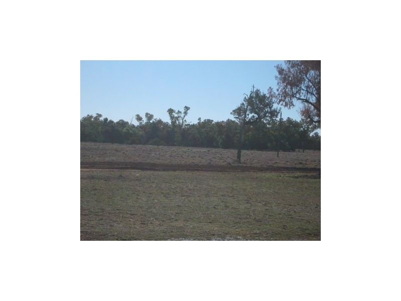 1 ‘Glenelg’, Carinda NSW 2831