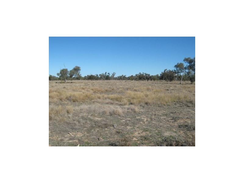 1 ‘Glenelg’, Carinda NSW 2831