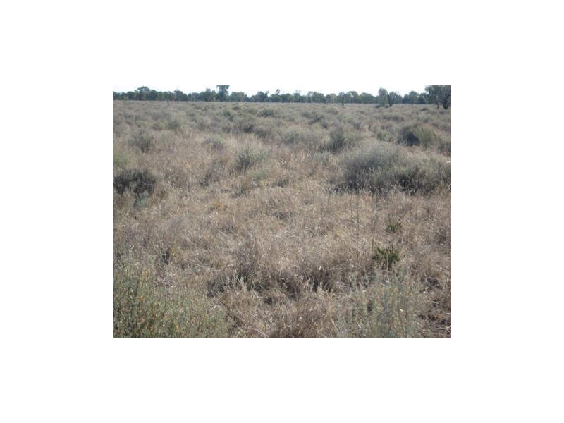 1 ‘Glenelg’, Carinda NSW 2831