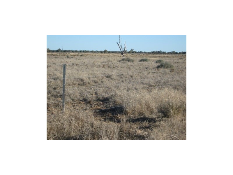 1 ‘Glenelg’, Carinda NSW 2831