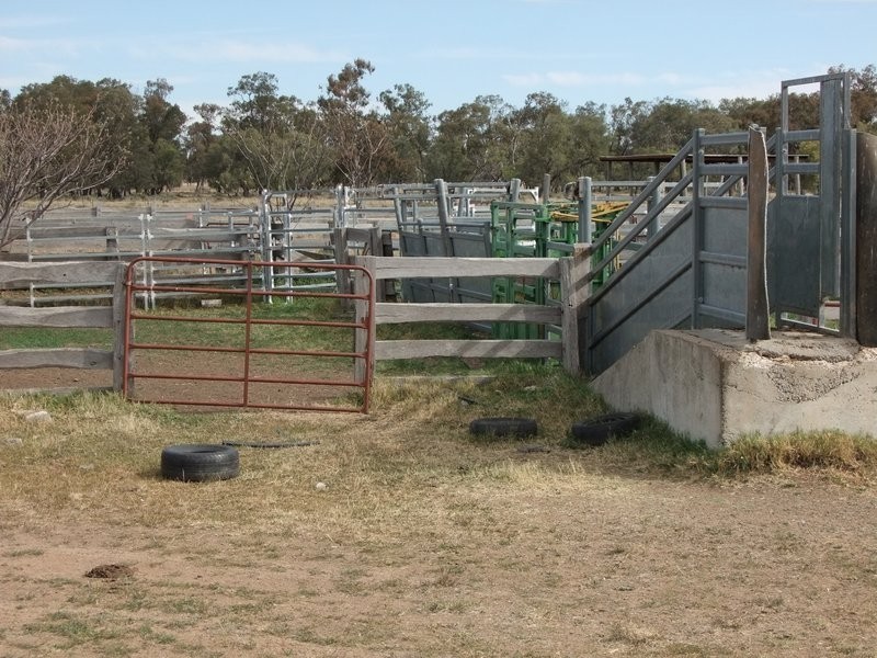 . ‘Walla Walla’, Gulargambone NSW 2828