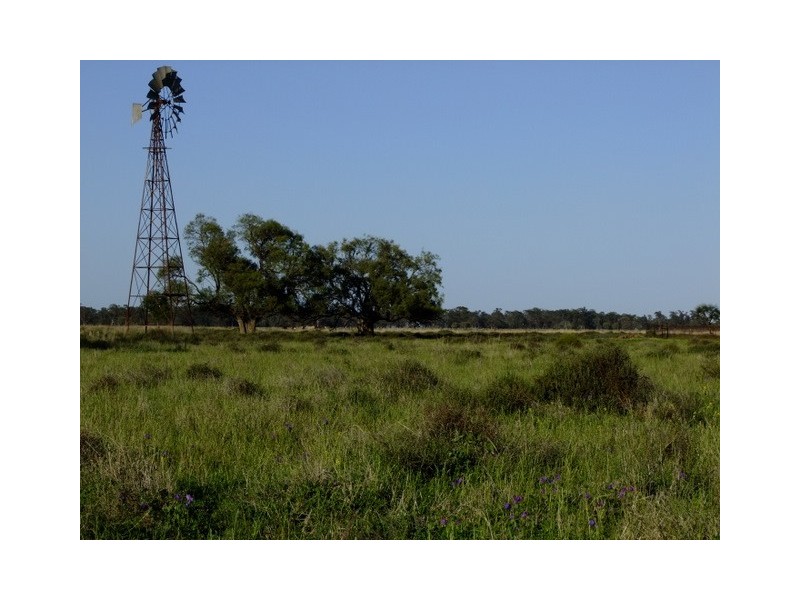 . ‘Walla Walla’, Gulargambone NSW 2828