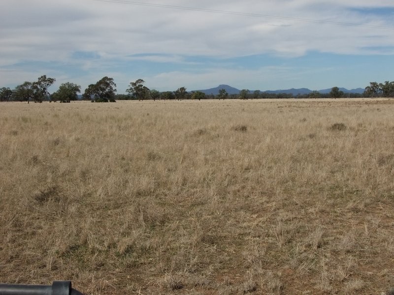 . ‘Walla Walla’, Gulargambone NSW 2828