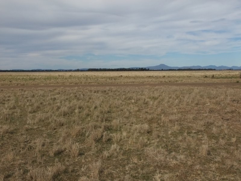 . ‘Walla Walla’, Gulargambone NSW 2828