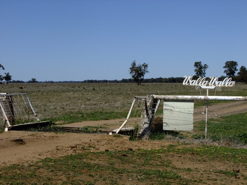 . ‘Walla Walla’, Gulargambone NSW 2828