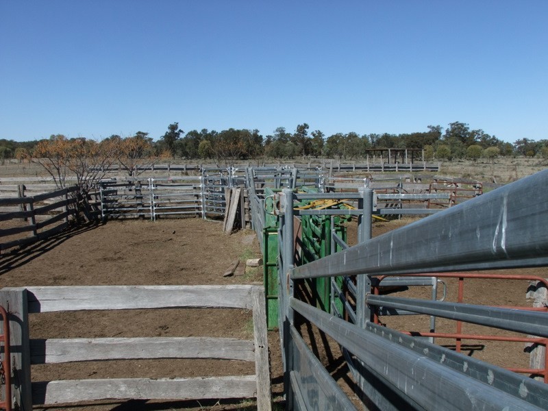 . ‘Walla Walla’, Gulargambone NSW 2828