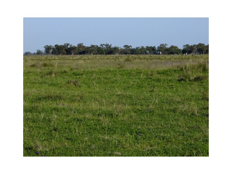 . ‘Walla Walla’, Gulargambone NSW 2828