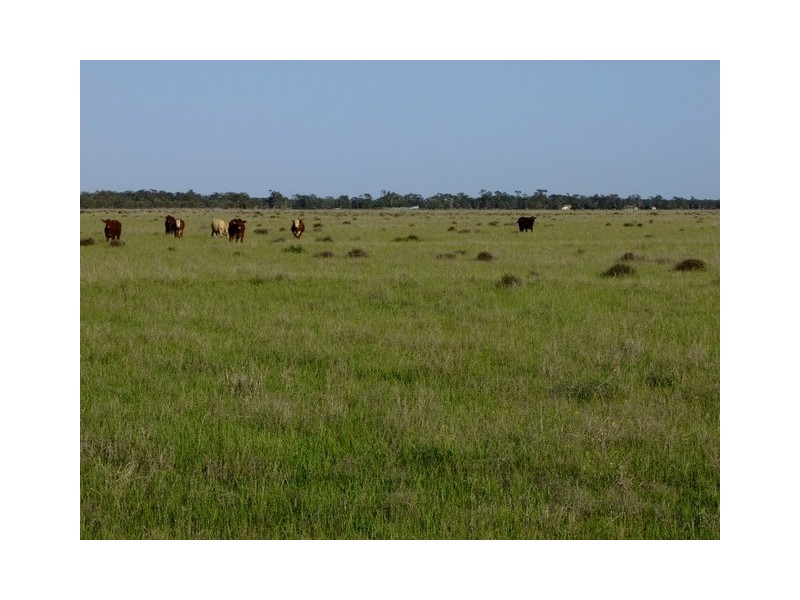 . ‘Walla Walla’, Gulargambone NSW 2828