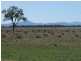 . ‘Walla Walla’, Gulargambone NSW 2828