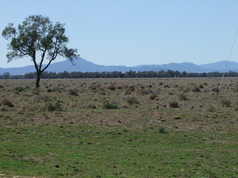 . ‘Walla Walla’, Gulargambone NSW 2828