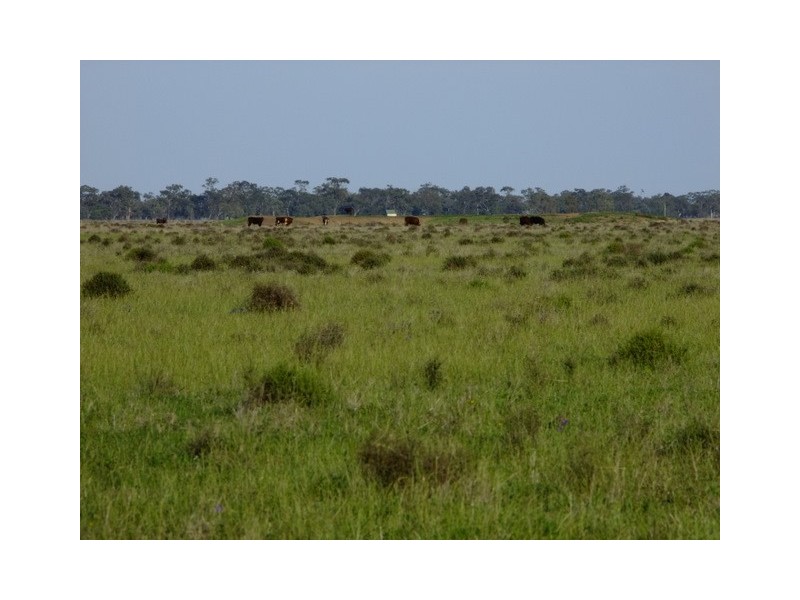 . ‘Walla Walla’, Gulargambone NSW 2828