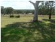 Lot 11 Timor Road, Coonabarabran NSW 2357