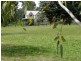 Coonabarabran NSW 2357