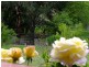 Coonabarabran NSW 2357
