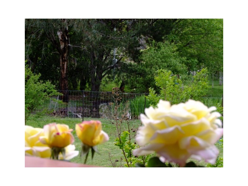 Coonabarabran NSW 2357