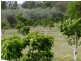 Coonabarabran NSW 2357