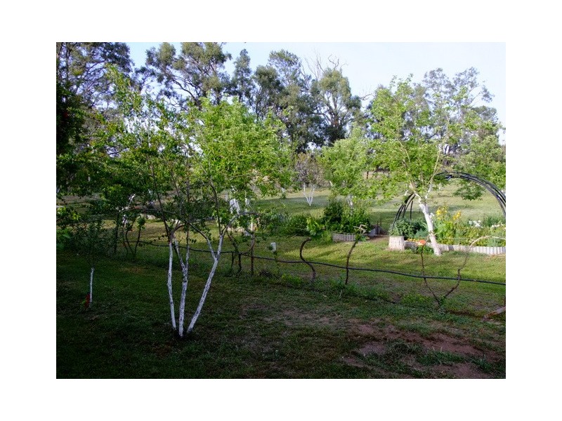 Coonabarabran NSW 2357