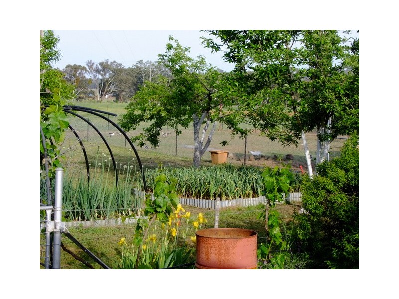 Coonabarabran NSW 2357
