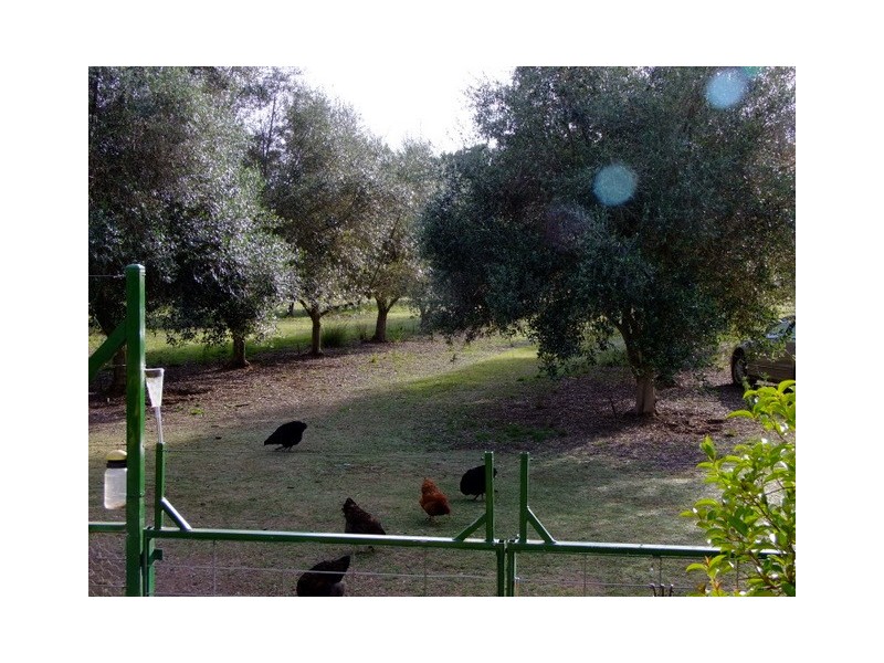 Coonabarabran NSW 2357