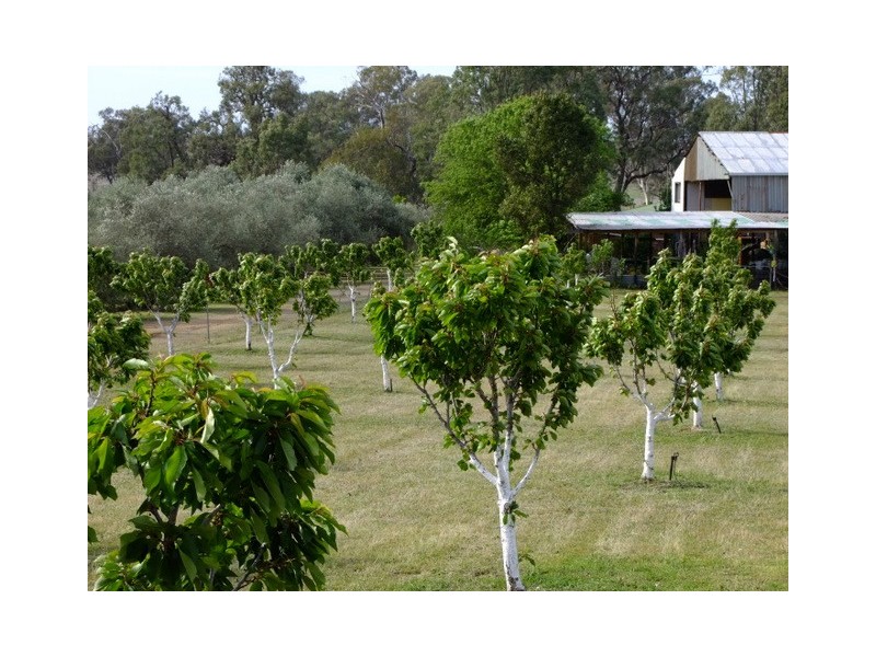 Coonabarabran NSW 2357