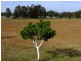 Coonabarabran NSW 2357
