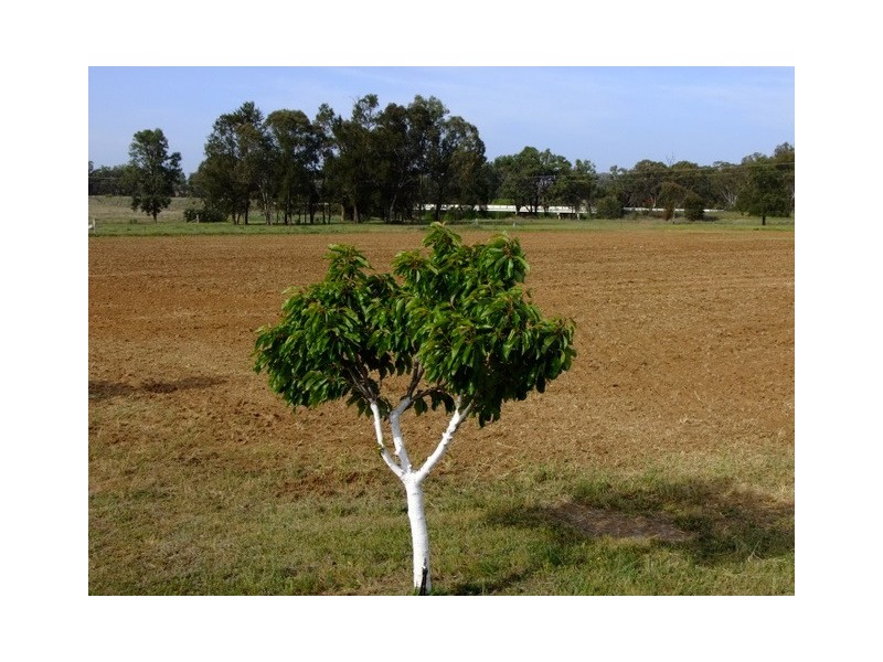 Coonabarabran NSW 2357